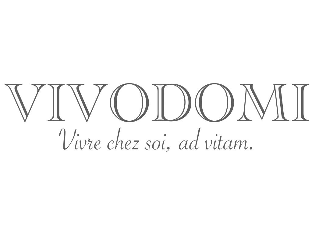 LOGO VIVODOMI JPEG